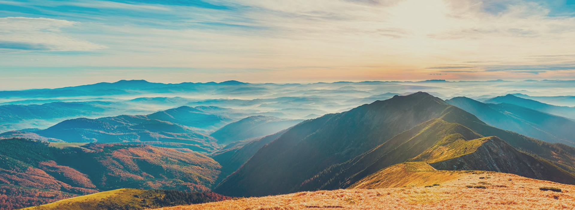 What to Do With Your Savings Bonds