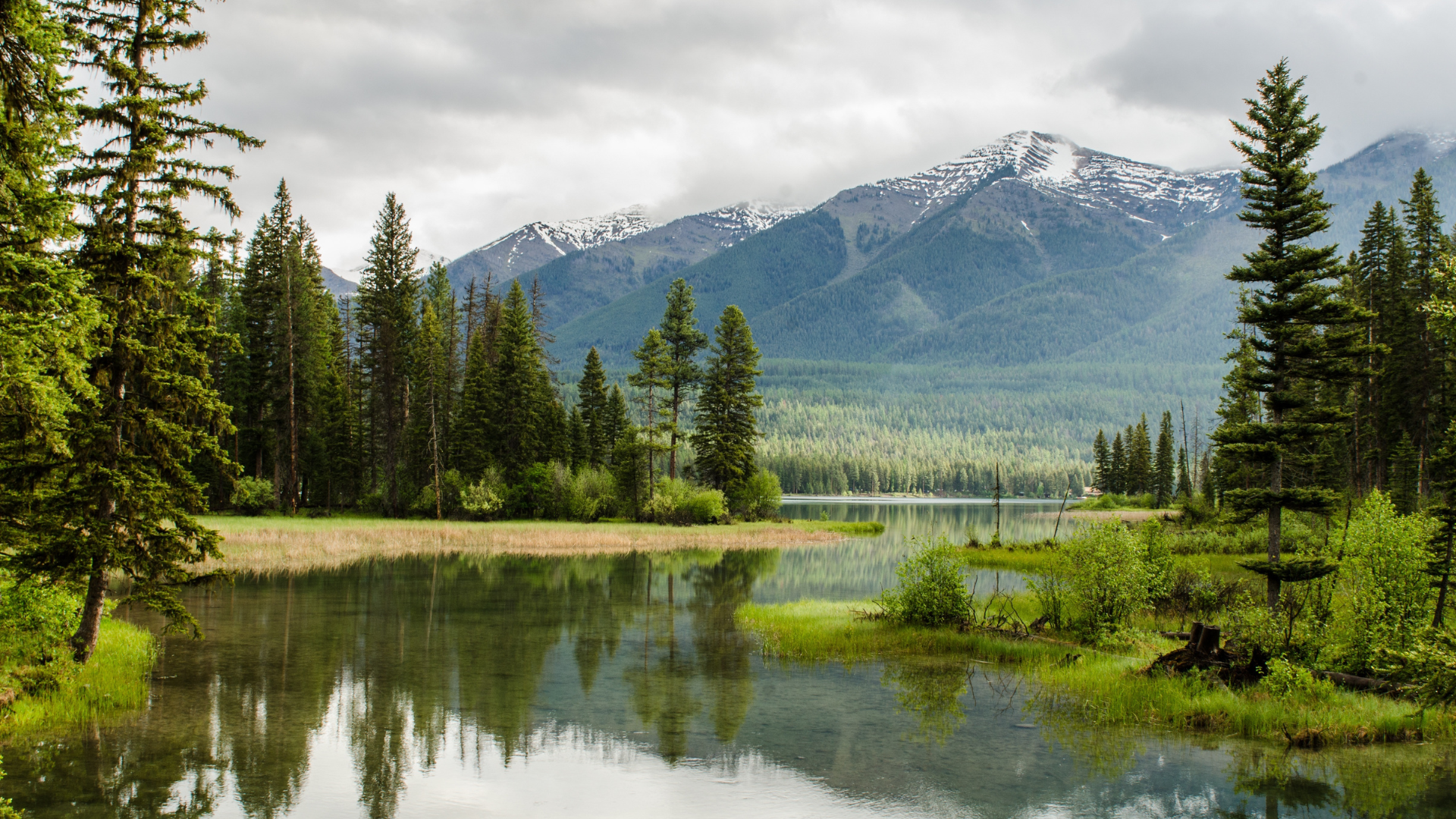 Your Post-Pandemic Financial Plan